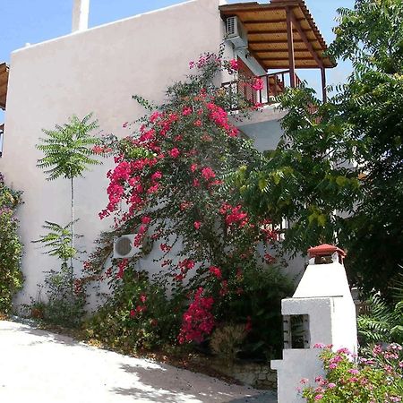123 Soleil Studios Agia Marina  外观 照片
